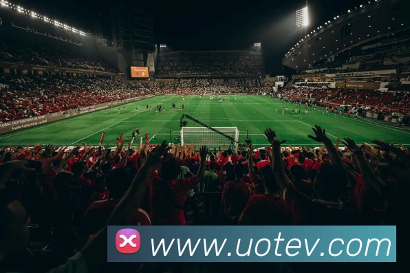 奖项证书